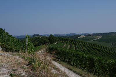 IMGP0657