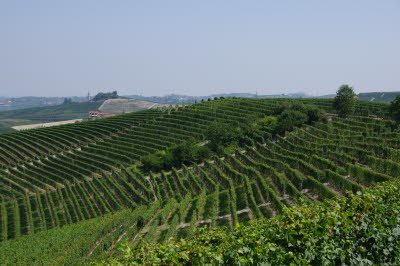 IMGP0662