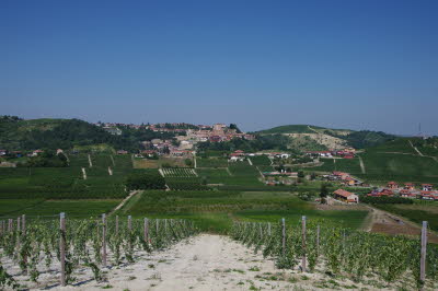IMGP0668