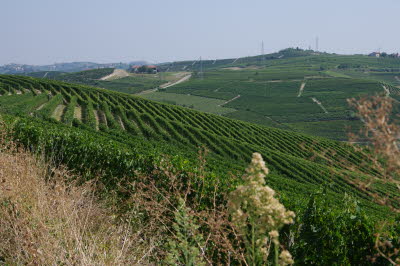 IMGP0670