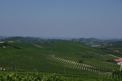 IMGP0672