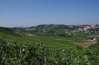 IMGP0675