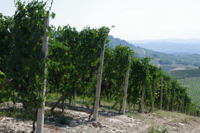 IMGP0679