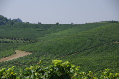 IMGP0695